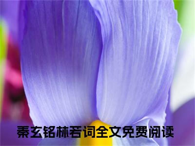 秦玄铭林若词（京城谁不知那九千岁堪比活阎罗全文小说）全文免费阅读无弹窗大结局_京城谁不知那九千岁堪比活阎罗全文免费阅读最新章节列表_笔趣阁