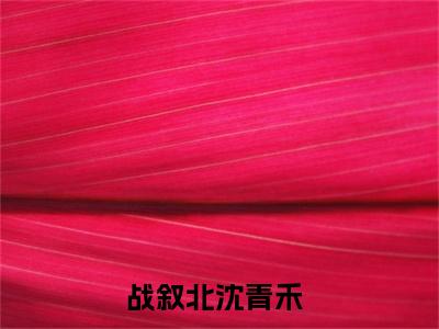 战叙北沈青禾小说免费阅读 战叙北沈青禾小说在哪里可以看