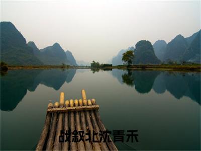 战叙北沈青禾（战叙北沈青禾）最新章节阅读-（战叙北沈青禾）免费阅读大结局无弹窗
