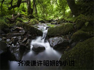 齐凌谦许昭妍小说热门全集在线观看 齐凌谦许昭妍免费章节试读