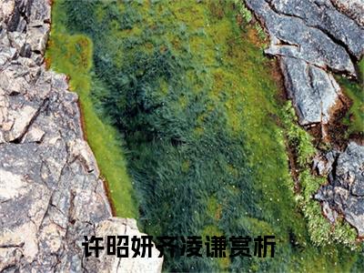 许昭妍齐凌谦完结版小说全文在线免费阅读_许昭妍齐凌谦最新章节列表_笔趣阁