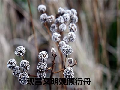 全网热搜（明婉顾衍舟）是什么小说_主角是（明婉顾衍舟）的小说（明婉顾衍舟）最新章节无弹窗阅读
