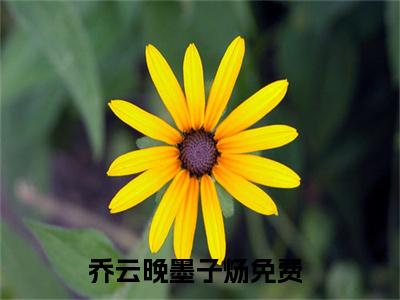 乔云晚墨子炀小说全文免费阅读-（乔云晚墨子炀）抖音新书热荐乔云晚墨子炀全文免费阅读