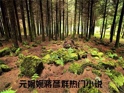 元婉婉蒋彦群（元婉婉蒋彦群）全文免费阅读无弹窗_元婉婉蒋彦群小说最新章节列表无删减_笔趣阁
