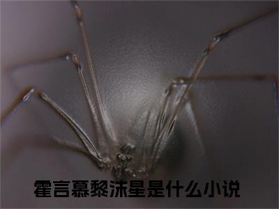 霍言慕黎沫星免费阅读无广告-霍言慕黎沫星免费阅读