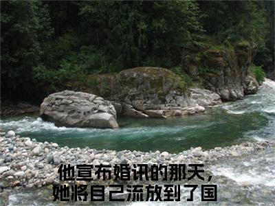 向枳靳北墨（他宣布婚讯的那天，她将自己流放到了国外）免费阅读无弹窗大结局-他宣布婚讯的那天，她将自己流放到了国外（最新全章节大结局）全文阅读