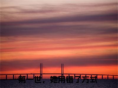 许妤月陆霆洲（第一世，她用错了方式）全文完整版免费阅读_许妤月陆霆洲最新章节列表_笔趣阁（第一世，她用错了方式）