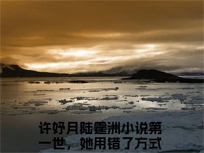 第一世，她用错了方式是什么小说-许妤月陆霆洲小说第一世，她用错了方式全文阅读