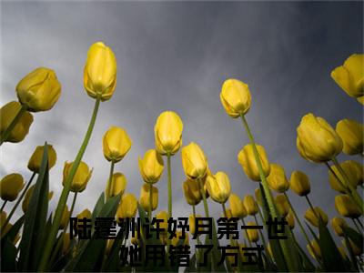 第一世，她用错了方式小说免费（陆霆洲许妤月）全文免费阅读无弹窗-第一世，她用错了方式小说全文免费阅读-笔趣阁