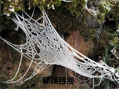 郁璃容淮在线阅读（休夫后搬空候府：我带王爷去造反）全文免费阅读无弹窗大结局_休夫后搬空候府：我带王爷去造反最新章节列表笔趣阁（郁璃容淮）
