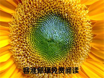 容淮郁璃（休夫后搬空候府：我带王爷去造反）未删减-容淮郁璃完结版阅读地址