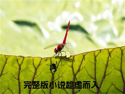 趁虚而入完结版小说程敟邵洵全文在线免费阅读_程敟邵洵最新章节列表_笔趣阁