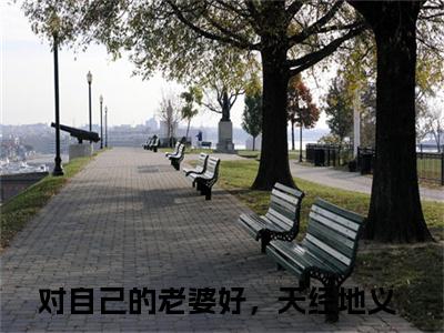 颜苏顾应辰小说全文免费阅读无弹窗,（对自己的老婆好，天经地义）小说全文免费阅读