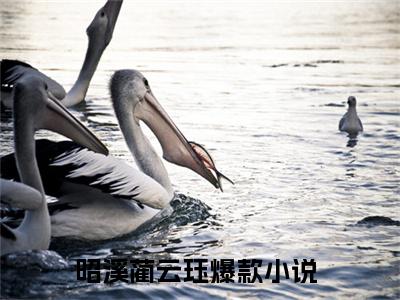 昭溪蔺云珏小说最新章节阅读-昭溪蔺云珏最新热点小说