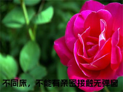 不同床，不能有亲密接触(战叙北沈青禾)全文免费阅读无弹窗大结局_不同床，不能有亲密接触最新章节列表_笔趣阁（战叙北沈青禾）