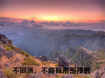 不同床，不能有亲密接触（沈青禾战叙北小说）全文免费阅读无弹窗大结局_沈青禾战叙北小说最新章节列表_笔趣阁（不同床，不能有亲密接触）