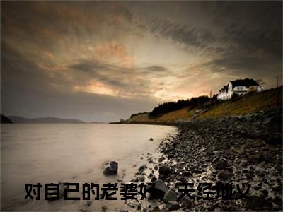 对自己的老婆好，天经地义（顾应辰颜苏）全文免费阅读无弹窗大结局_（顾应辰颜苏）最新章节