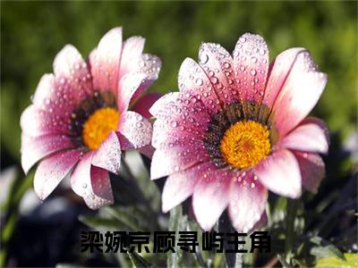 梁婉京顾寻屿小说最新章节在线阅读-梁婉京顾寻屿已完结全集大结局