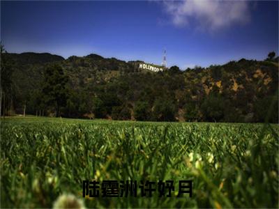 陆霆洲许妤月（第一世，她用错了方式）免费阅读无弹窗大结局_（第一世，她用错了方式）陆霆洲许妤月最新章节列表_笔趣阁