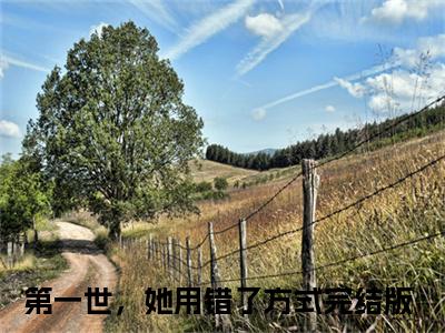 第一世，她用错了方式（陆霆洲许妤月）免费阅读无弹窗-小说第一世，她用错了方式大结局全文免费阅读