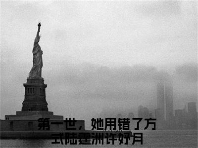 第一世，她用错了方式全文免费阅读大结局-（陆霆洲许妤月）最新章节列表在线阅读