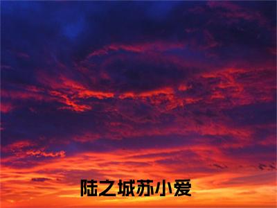 陆之城苏小爱的小说大结局免费阅读,陆之城苏小爱小说最新章节番外篇
