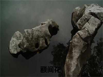 额间花（江沐阖苏浅茉全章节完整版）免费阅读_（江沐阖苏浅茉）额间花全文无删减免费阅读
