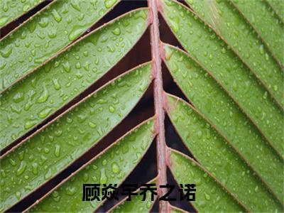 顾焱宇乔之诺（顾焱宇乔之诺）全文免费大结局-顾焱宇乔之诺小说在线阅读