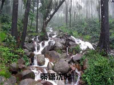 秦潇沈叶是哪部小说的主角 秦潇沈叶全文阅读