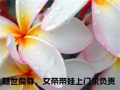 隐世魔尊，女帝带娃上门求负责（宁夜辰洛如缨）全文免费读无弹窗大结局_隐世魔尊，女帝带娃上门求负责免费隐世魔尊，女帝带娃上门求负责读无弹窗最新章节列表_笔趣阁