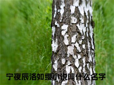隐世魔尊，女帝带娃上门求负责小说免费阅读无弹窗,小说名字是：宁夜辰洛如缨的小说在线阅读无删减