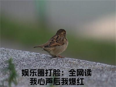 娱乐圈打脸：全网读我心声后我爆红（盛舒沉桁）全文免费阅读无弹窗大结局_盛舒沉桁全文免费阅读_笔趣阁