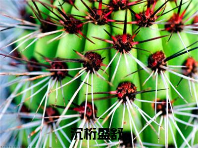 沉桁盛舒（娱乐圈打脸：全网读我心声后我爆红）全文免费阅读无弹窗大结局_沉桁盛舒免费阅读最新章节列表_笔趣阁