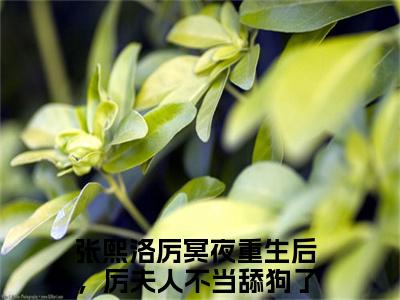 张熙洛厉冥夜小说(重生后，厉夫人不当舔狗了)全文免费阅读无弹窗_张熙洛厉冥夜小说全文免费阅读)重生后，厉夫人不当舔狗了最新章节列表笔趣阁（重生后，厉夫人不当舔狗了）