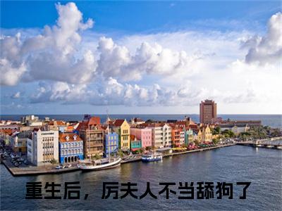 重生后，厉夫人不当舔狗了（张熙洛厉冥夜）小说结局-重生后，厉夫人不当舔狗了全文无弹窗阅读