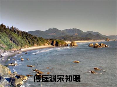傅庭渊宋知暖（傅庭渊宋知暖）小说-傅庭渊宋知暖完整版全文阅读