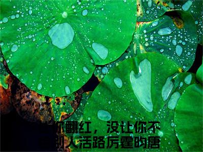 让你翻红，没让你不给别人活路小说（厉霆昀唐叶）全文免费阅读无弹窗大结局_（厉霆昀唐叶）让你翻红，没让你不给别人活路最新章节列表（厉霆昀唐叶）