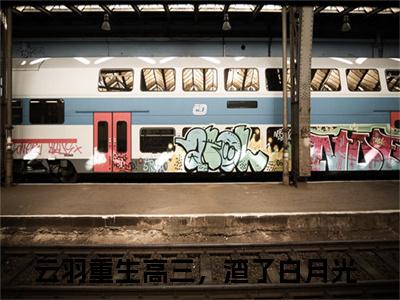 重生高三，渣了白月光（云羽小说）全文免费阅读无弹窗大结局_（重生高三，渣了白月光）云羽小说最新章节列表_笔趣阁（云羽小说）