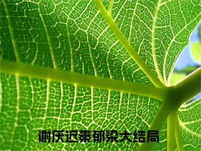 谢厌迟秦郁染精选言情小说 谢厌迟秦郁染全文在线阅读