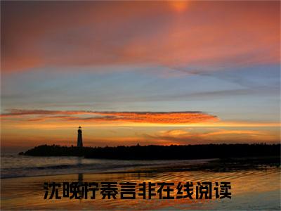 沈晚柠秦言非小说推荐，沈晚柠秦言非完整版在线阅读