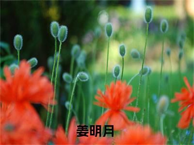 姜明月小说最新章节（被卖后，农女带全家逆袭了）全文免费阅读无弹窗大结局_被卖后，农女带全家逆袭了免费阅读（姜明月小说）