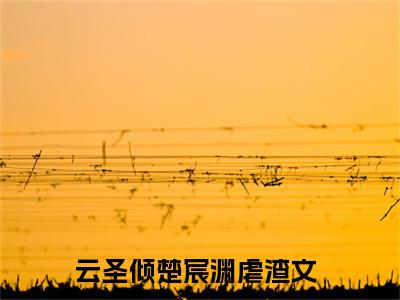 云圣倾楚宸渊全文(开局丑颜悍妃杀疯全场)全文免费阅读无弹窗大结局_(云圣倾楚宸渊全文免费阅读全文大结局)云圣倾楚宸渊最新章节列表_笔趣阁（开局丑颜悍妃杀疯全场全文）