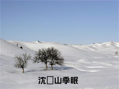 沈彧山季眠独家小说-沈彧山季眠结局是什么