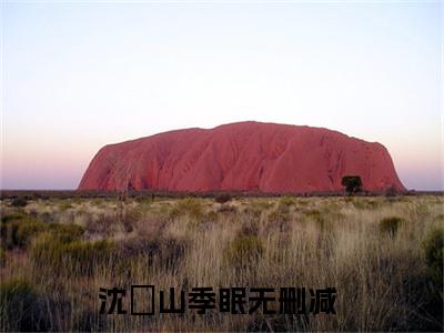 沈彧山季眠（沈彧山季眠）小说全文免费阅读无弹窗_（沈彧山季眠）最新章节列表_笔趣阁