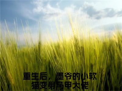 重生后，墨爷的小软猫变身马甲大佬txt（墨夜忱韩菁儿）全文免费阅读无弹窗大结局_重生后，墨爷的小软猫变身马甲大佬最新章节列表_笔趣阁（墨夜忱韩菁儿）