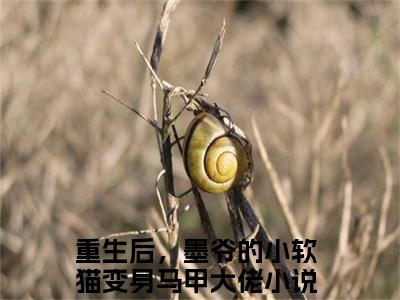 重生后，墨爷的小软猫变身马甲大佬（墨夜忱韩菁儿）全文免费阅读无弹窗大结局_（墨夜忱韩菁儿无弹窗）_笔趣阁