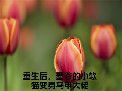 重生后，墨爷的小软猫变身马甲大佬全文免费阅读无弹窗大结局_重生后，墨爷的小软猫变身马甲大佬(韩菁儿墨夜忱)最新章节列表_笔趣阁