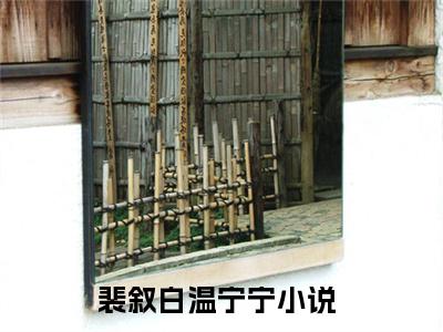 裴叙白温宁宁（裴叙白温宁宁）2023好看的小说全文阅读-裴叙白温宁宁小说无删减版