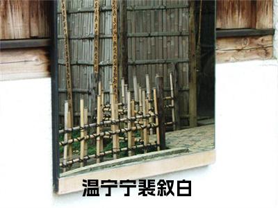 温宁宁裴叙白（温宁宁裴叙白）小说全文免费阅读_（温宁宁裴叙白）小说全文无删减版在线阅读