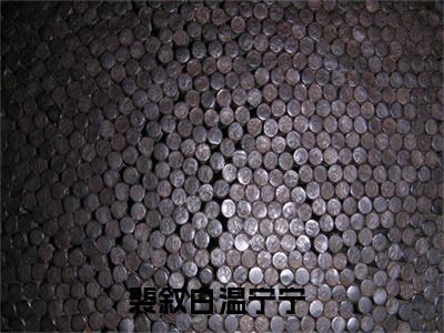 裴叙白温宁宁(裴叙白温宁宁)全文免费阅读无弹窗大结局_(裴叙白温宁宁免费阅读全文大结局)最新章节列表_笔趣阁